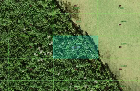 Tbd Polk City FL 33868