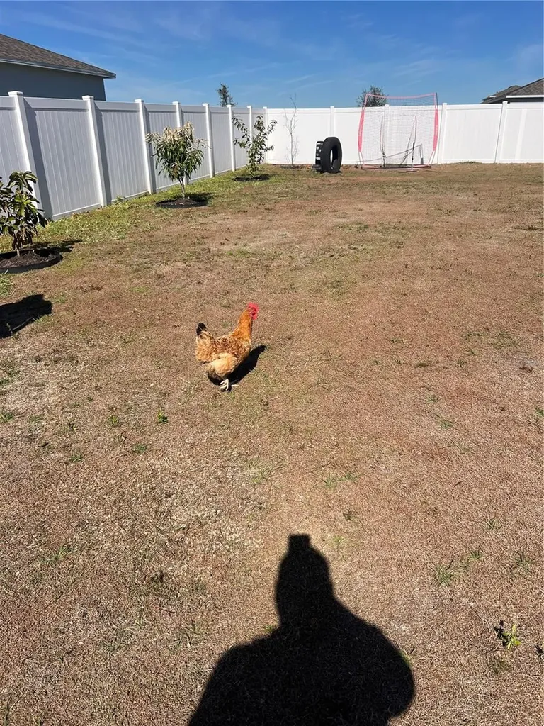 206 Amber Way Kissimmee FL 34758