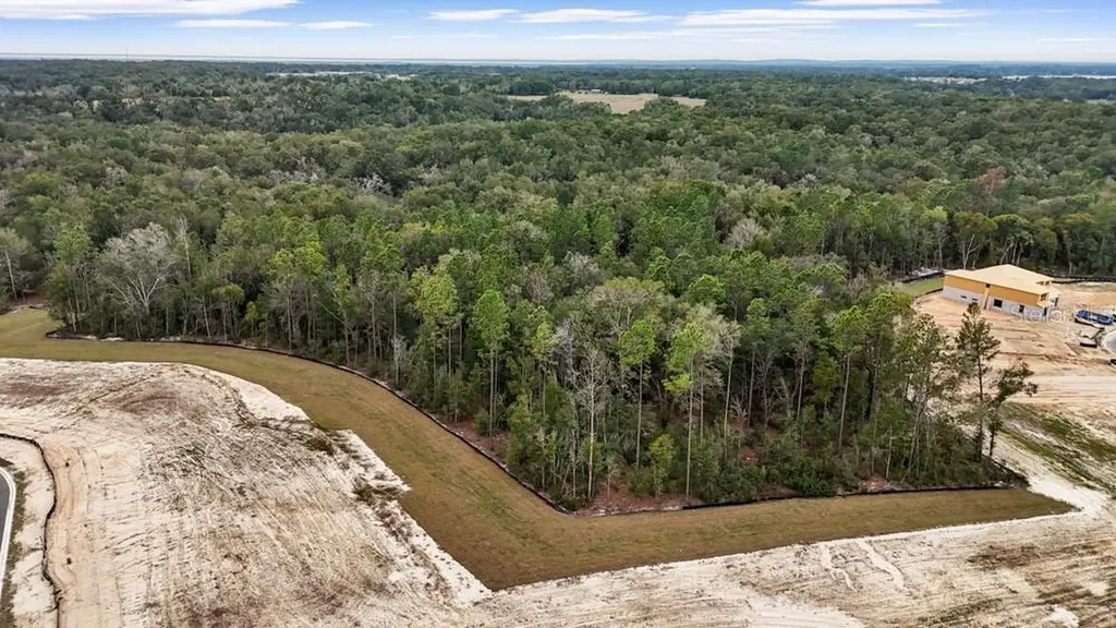 4683 Hilly Heights Drive Mount Dora FL 32757