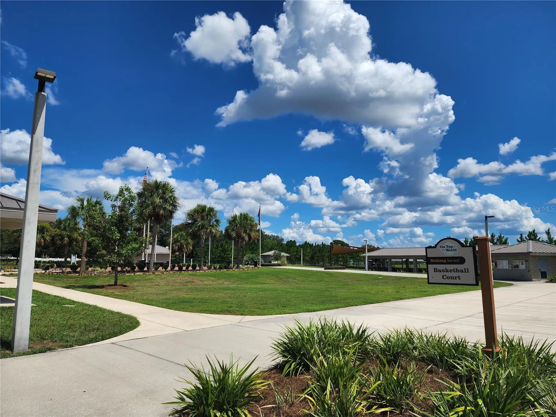 10127 SW 97th Lane Ocala FL 34481