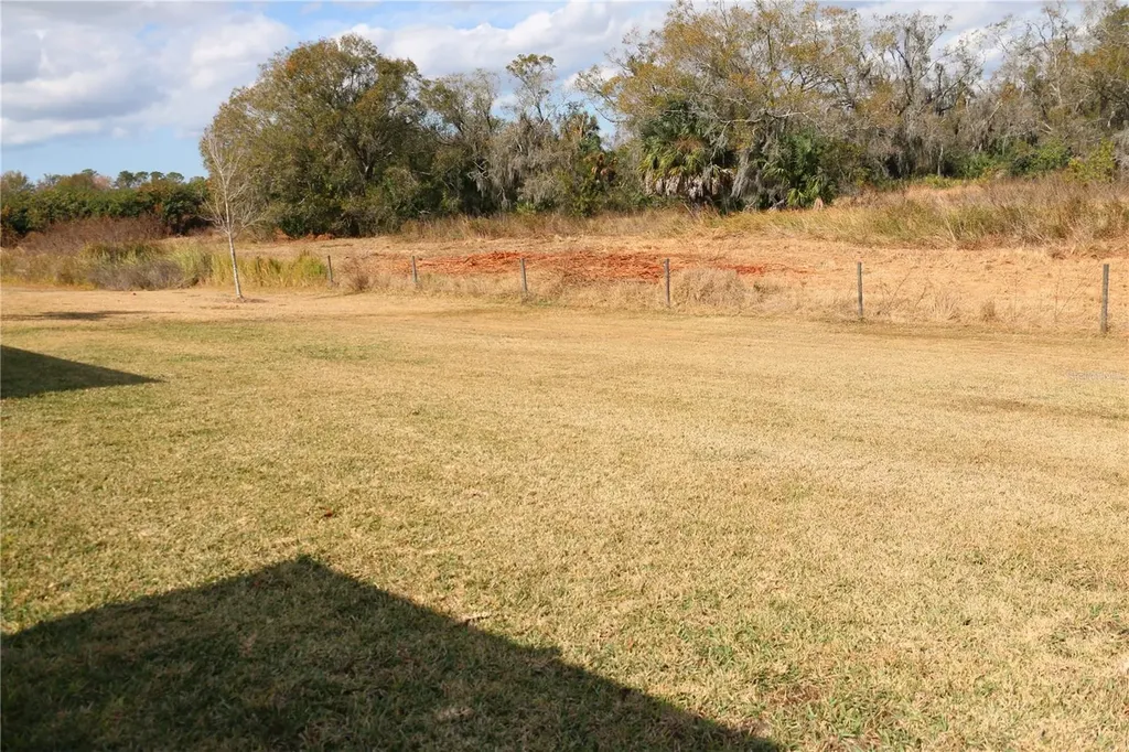 16554 Delia Street Wimauma FL 33598