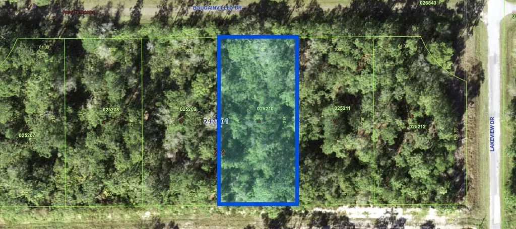 1005 Bougainville Drive Indian Lake Estates FL 33855