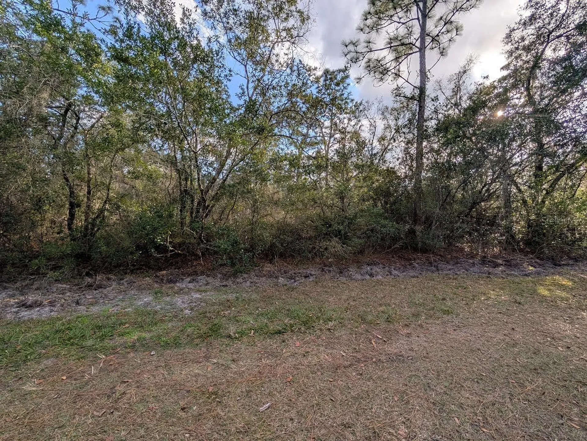 1005 Bougainville Drive Indian Lake Estates FL 33855