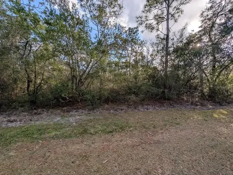 1005 Bougainville Drive Indian Lake Estates FL 33855