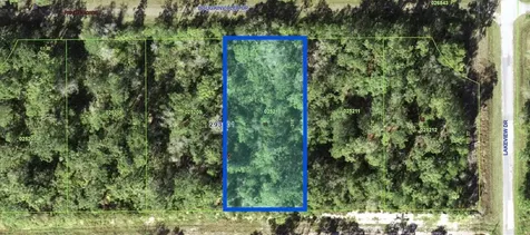 1005 Bougainville Drive Indian Lake Estates FL 33855