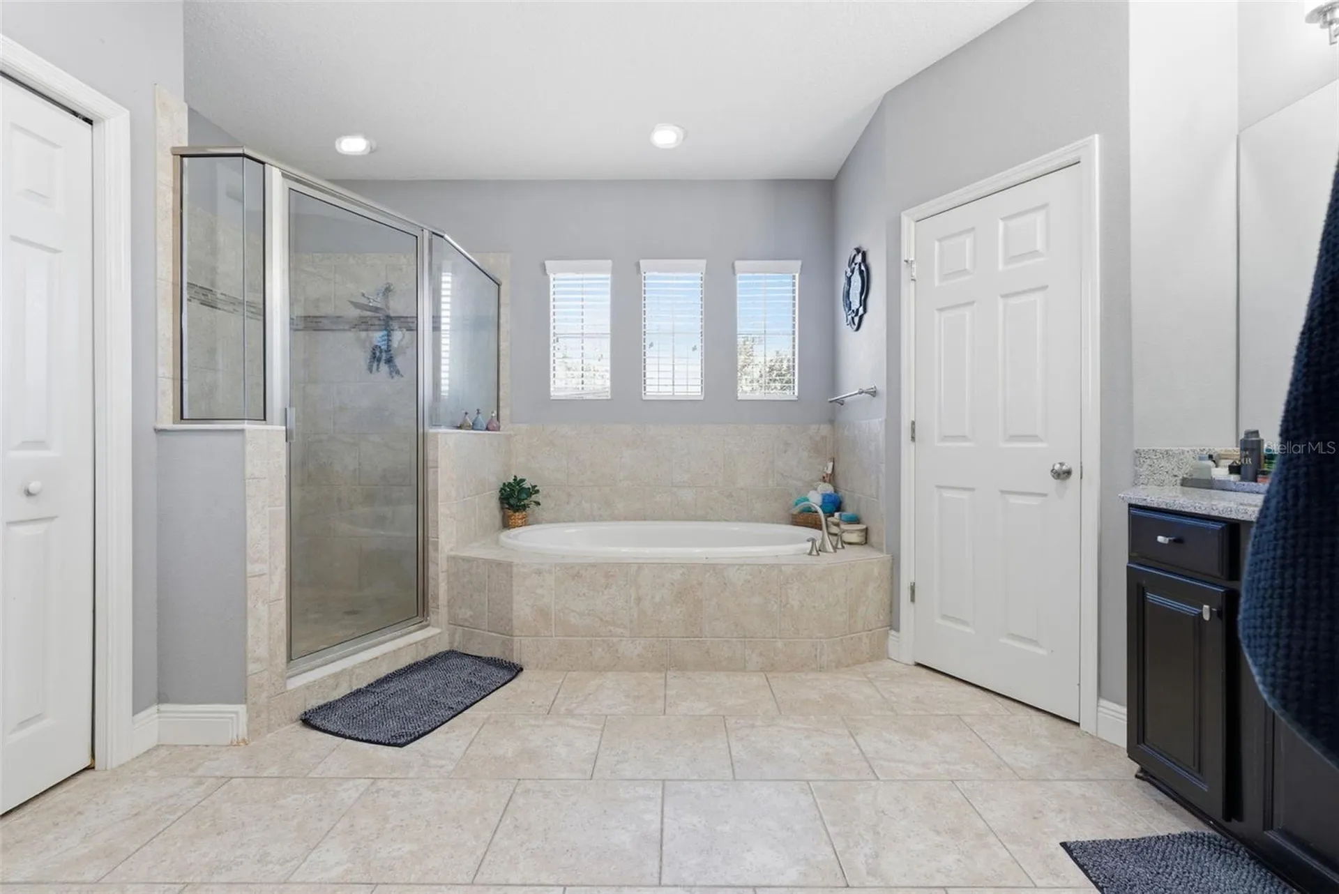 2651 Calvano Drive Land O Lakes FL 34639