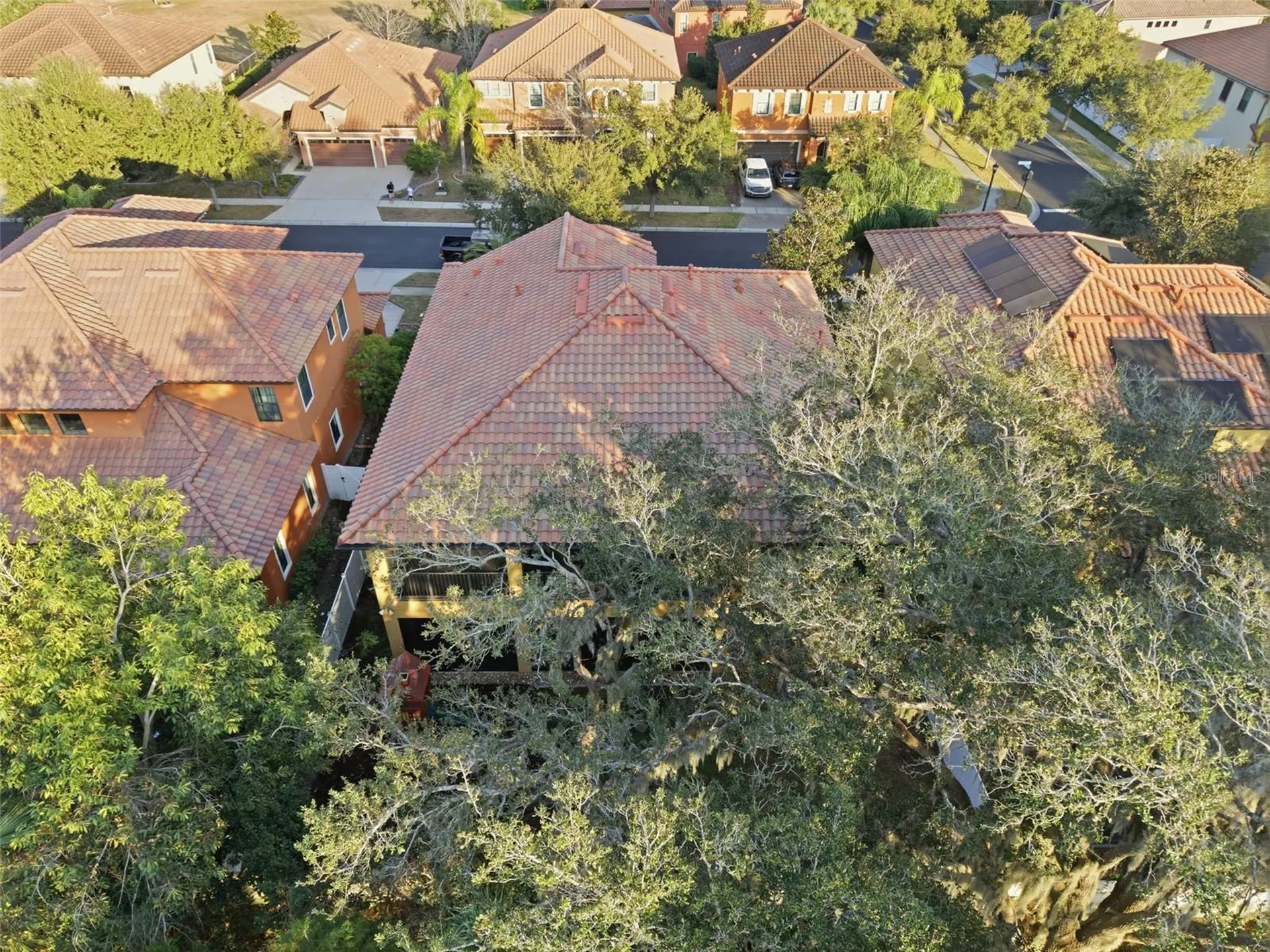 2651 Calvano Drive Land O Lakes FL 34639