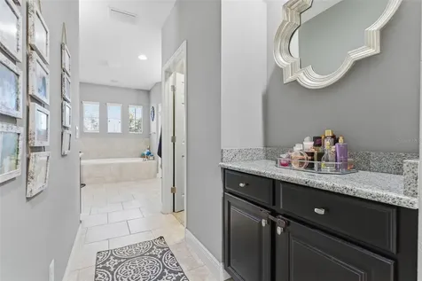 2651 Calvano Drive Land O Lakes FL 34639