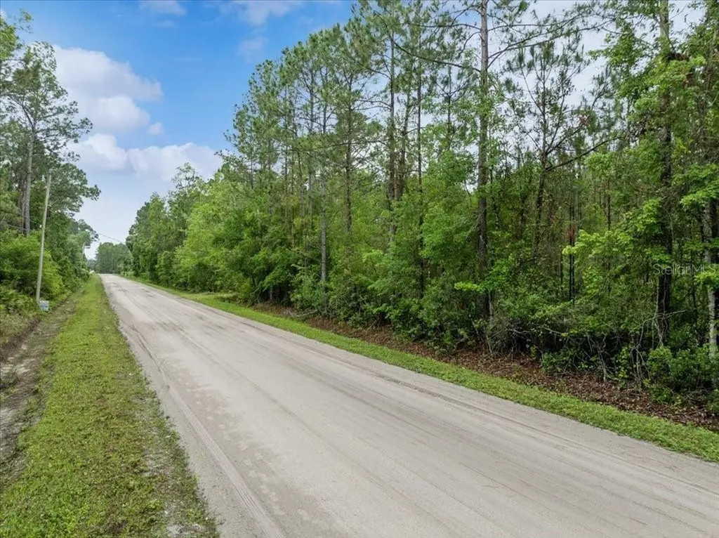 1756 Hazelnut Street Bunnell FL 32110