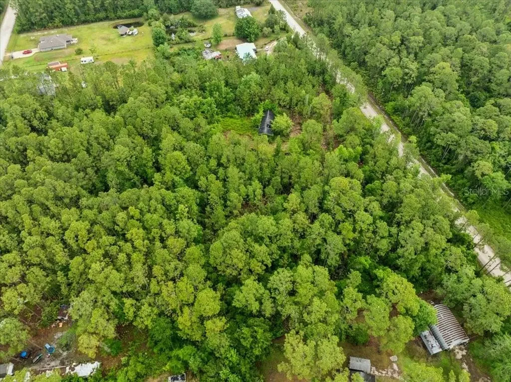 1756 Hazelnut Street Bunnell FL 32110