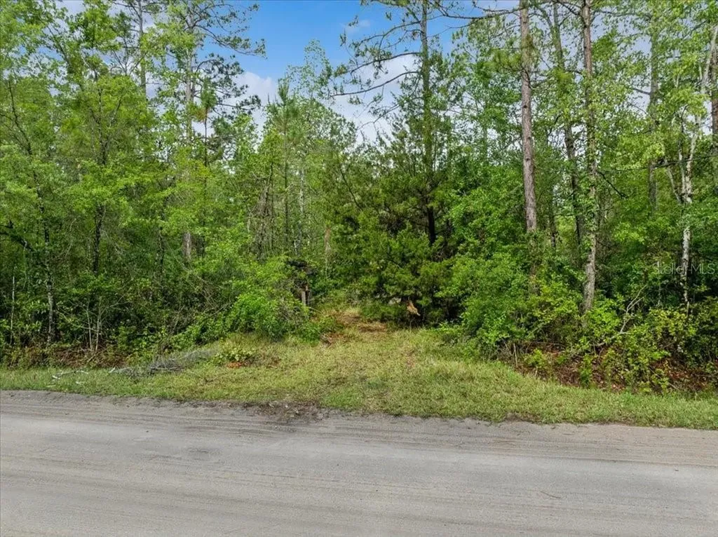 1756 Hazelnut Street Bunnell FL 32110