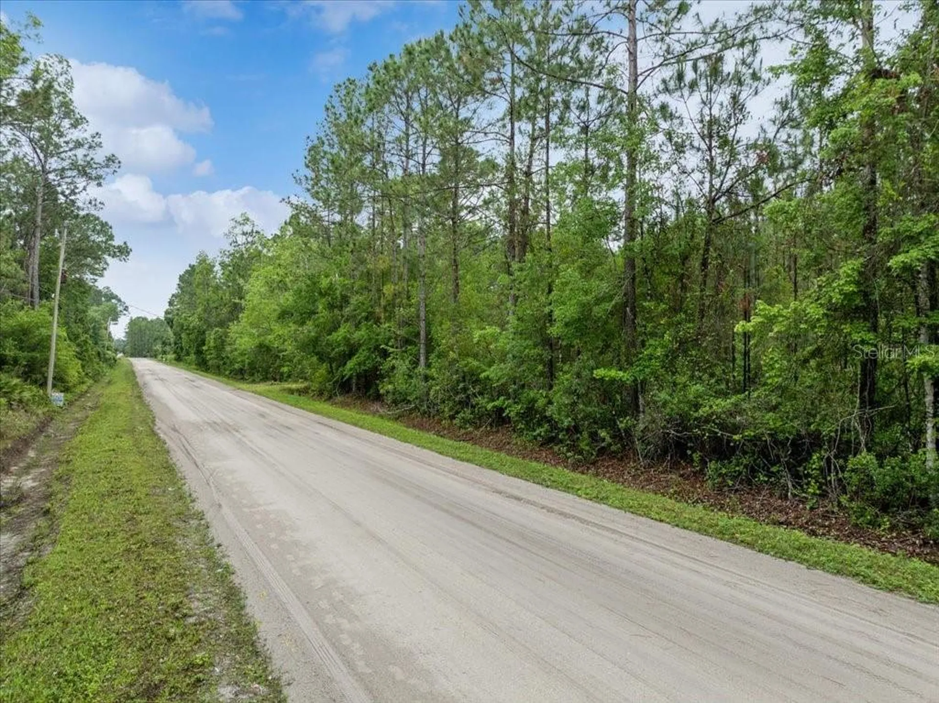 1756 Hazelnut Street Bunnell FL 32110