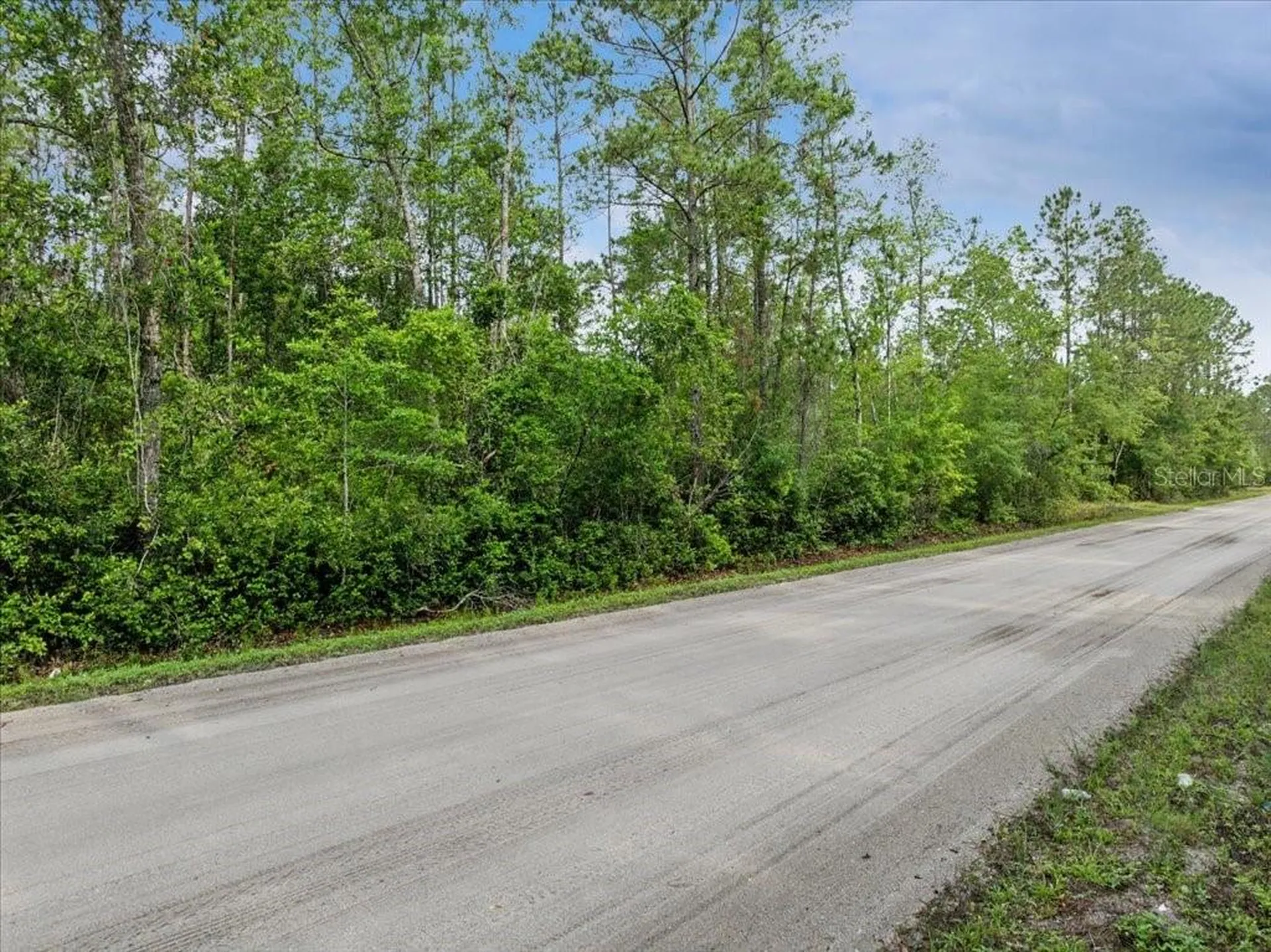 1756 Hazelnut Street Bunnell FL 32110