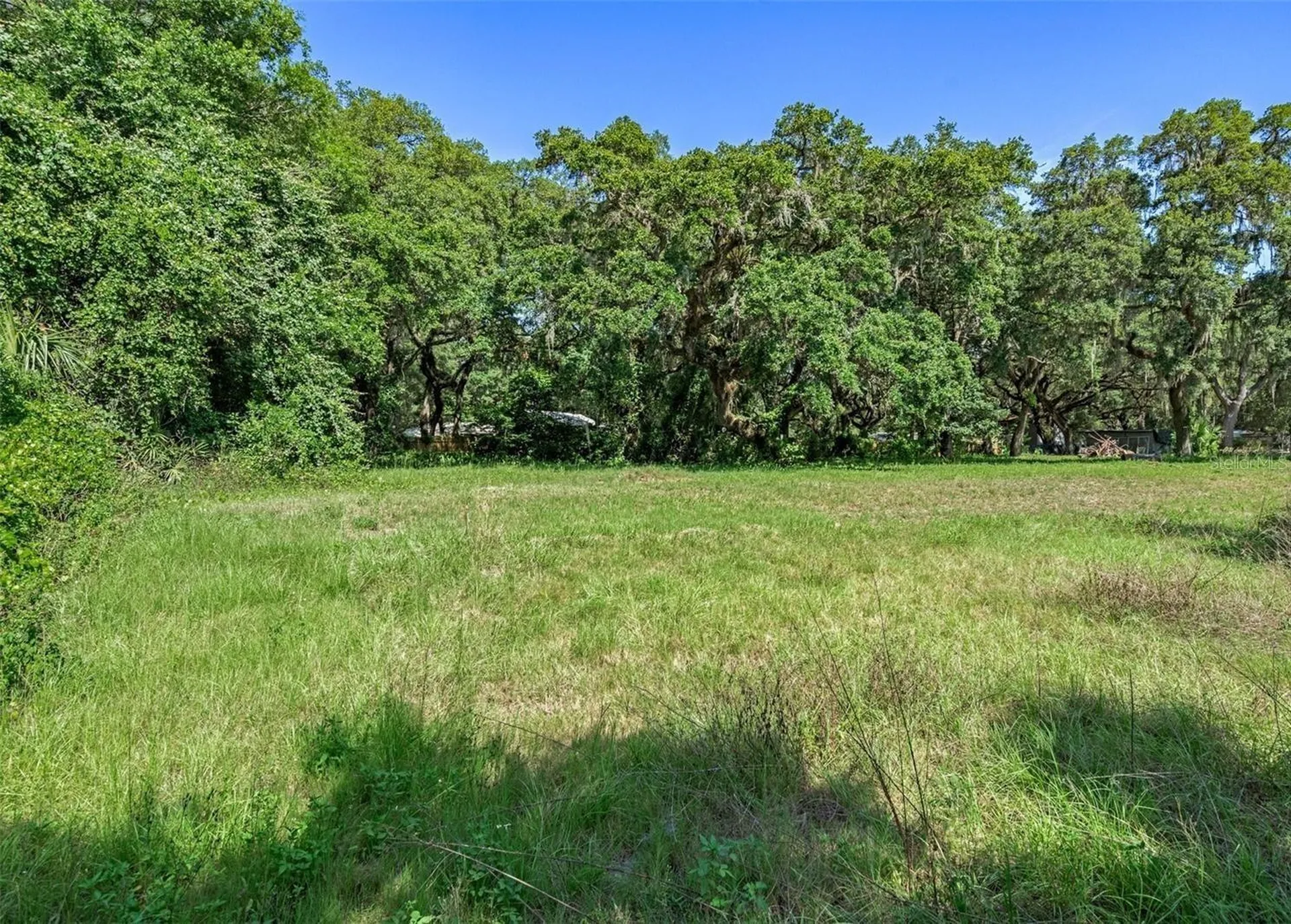 3352 Sandy Drive Zephyrhills FL 33541