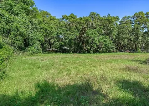 3352 Sandy Drive Zephyrhills FL 33541