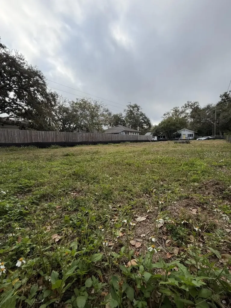 1006 Jones Street Clearwater FL 33755
