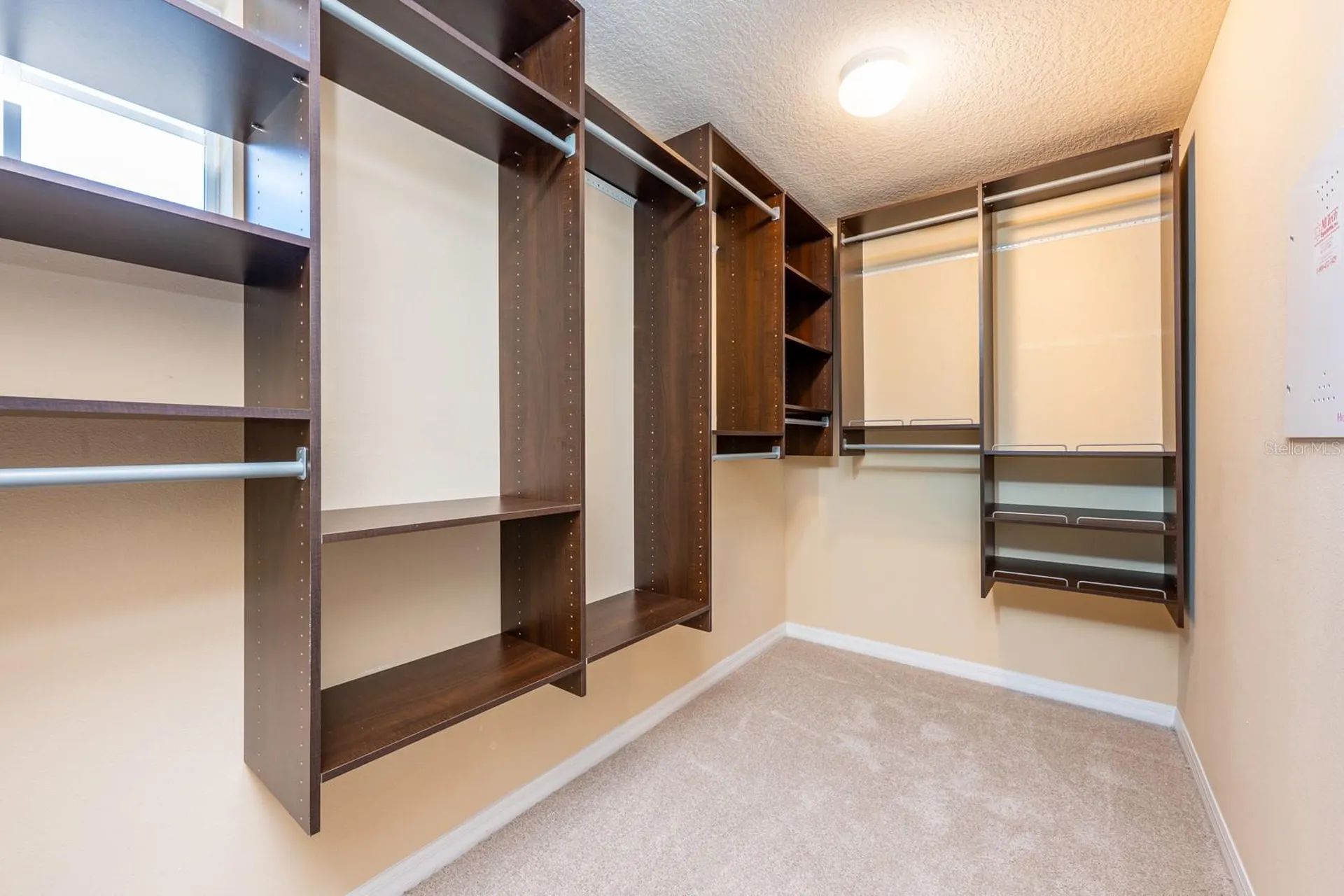 10954 High Bush Court Orlando FL 32825
