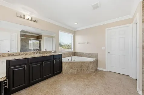 10954 High Bush Court Orlando FL 32825