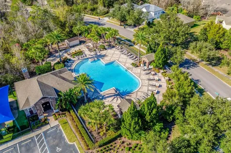 10954 High Bush Court Orlando FL 32825