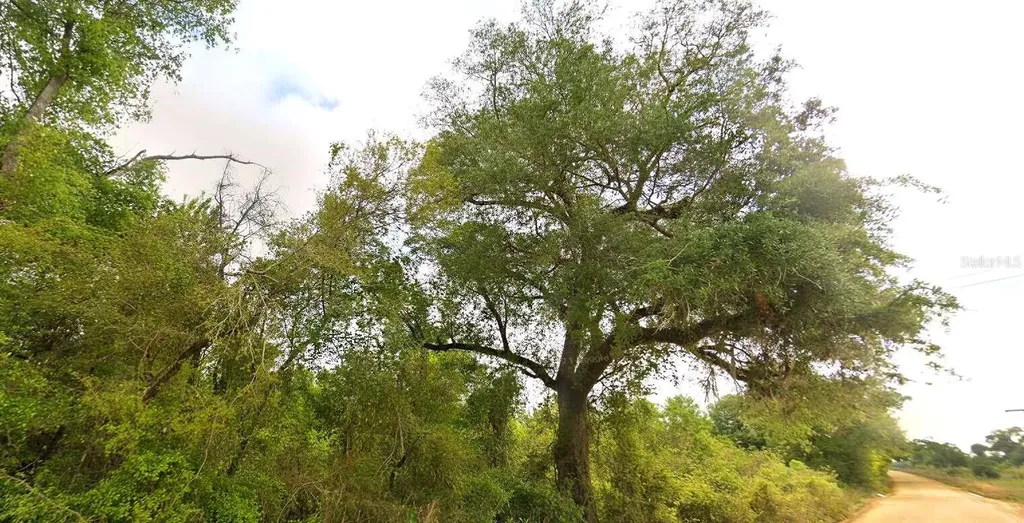 Tower Road Bascom FL 32423