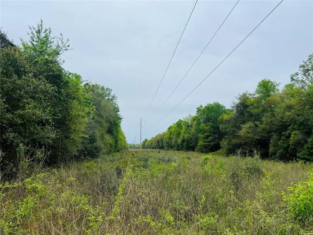 Tower Road Bascom FL 32423