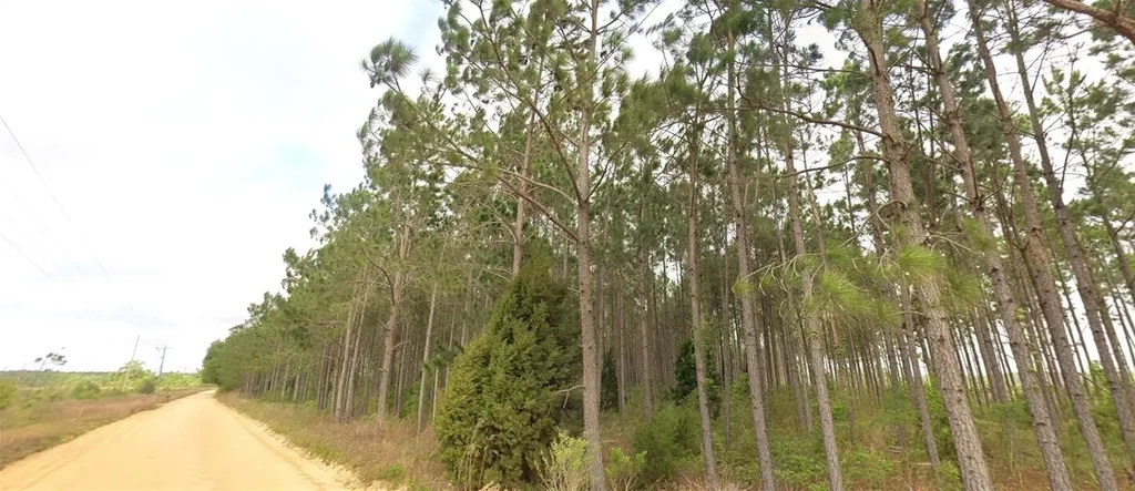 Tower Road Bascom FL 32423