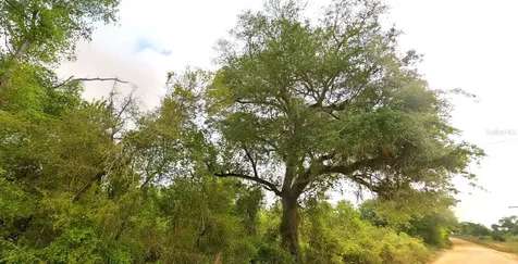 Tower Road Bascom FL 32423
