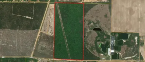 Tower Road Bascom FL 32423