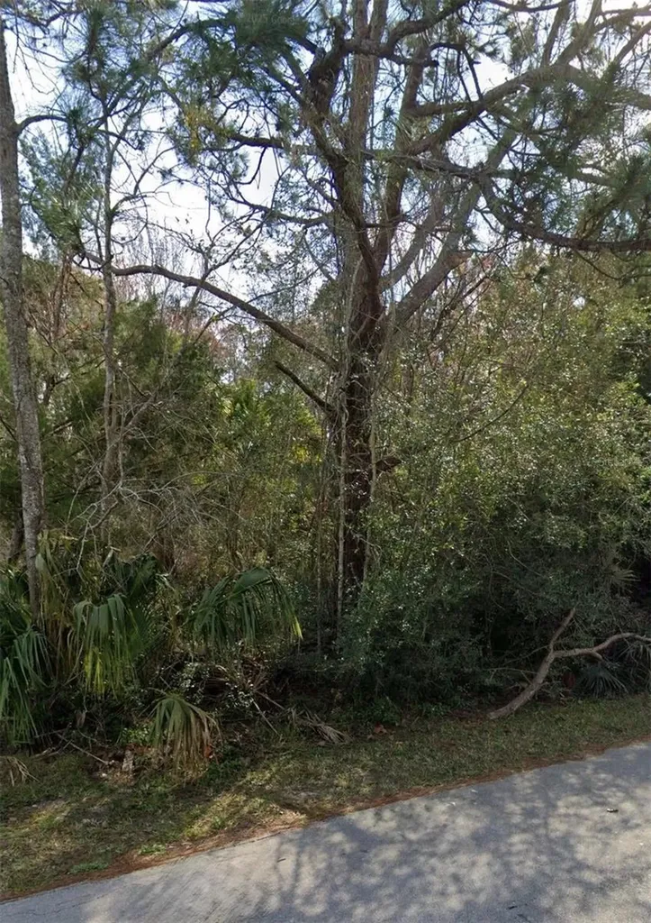 12 Selma Trail Palm Coast FL 32164