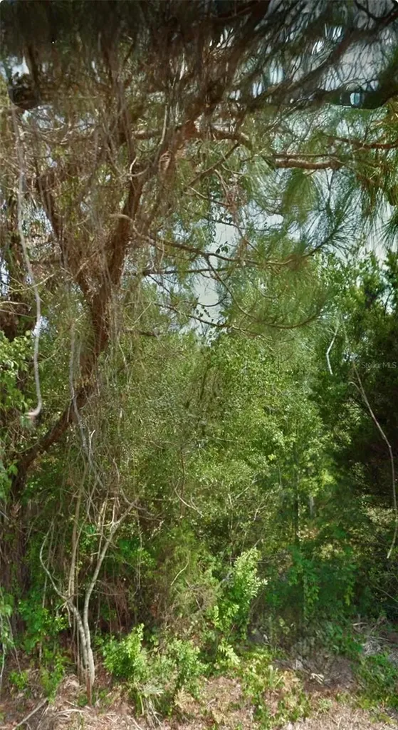 12 Selma Trail Palm Coast FL 32164