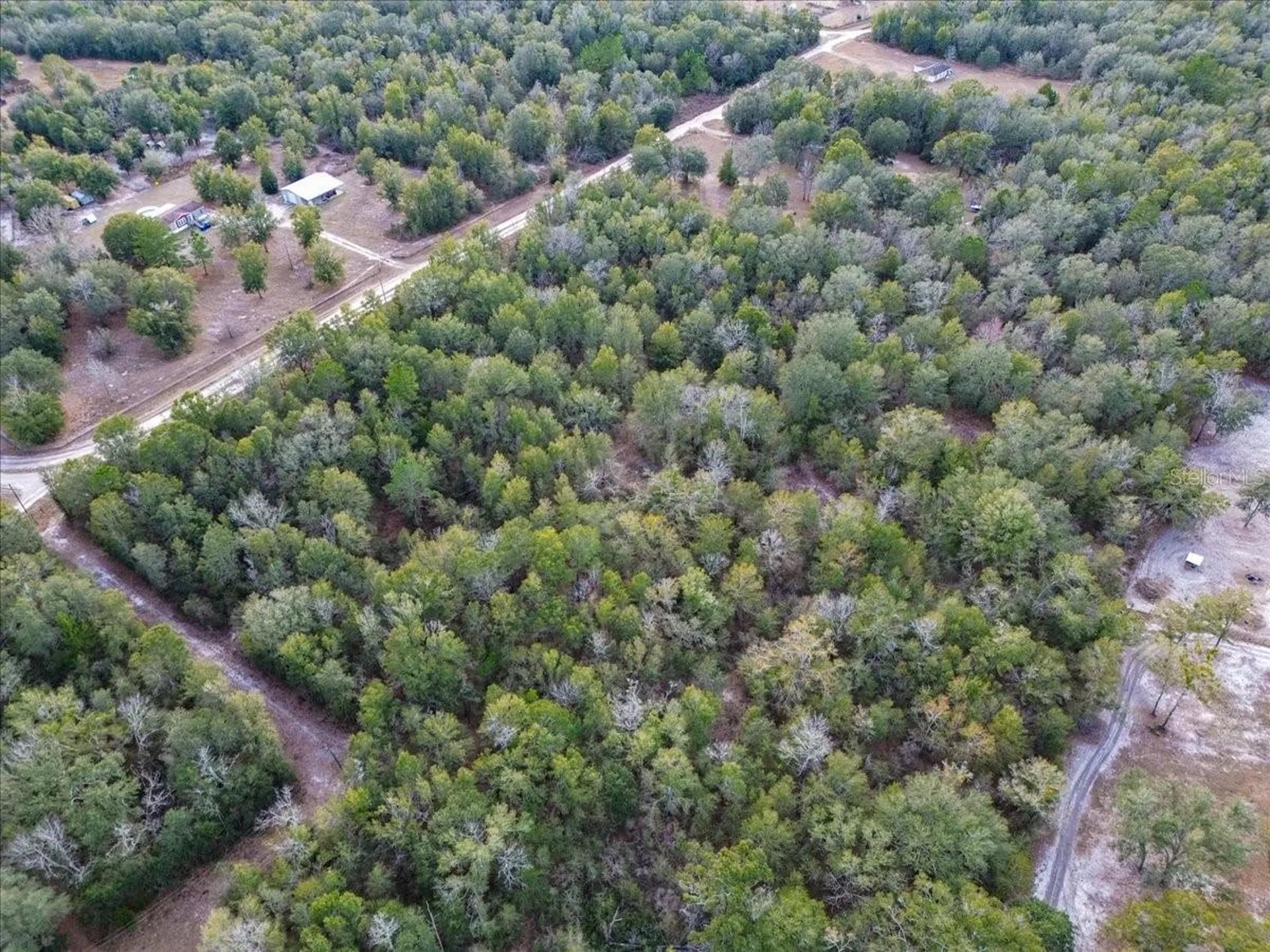 Tbd SW Maplewood Place Fort White FL 32038