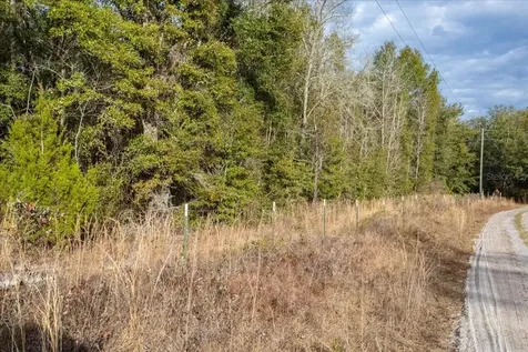 Tbd SW Maplewood Place Fort White FL 32038