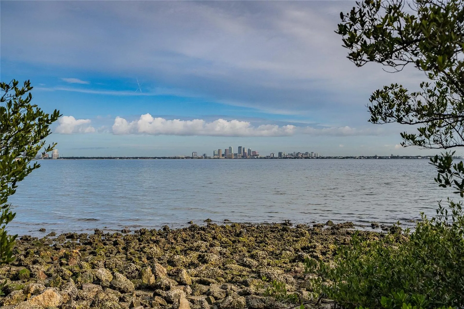 6213 Sanders Drive Tampa FL 33611