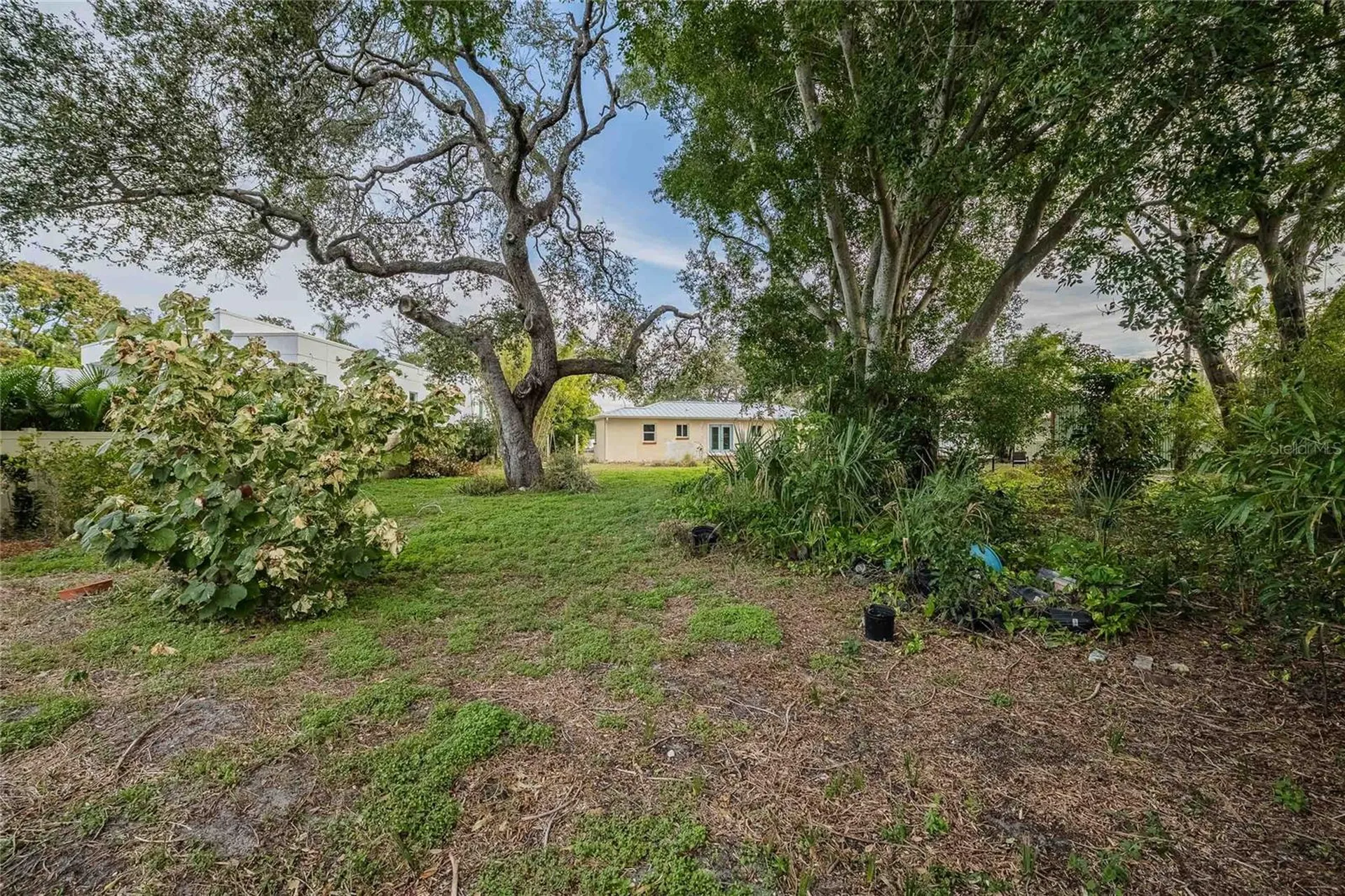 6213 Sanders Drive Tampa FL 33611