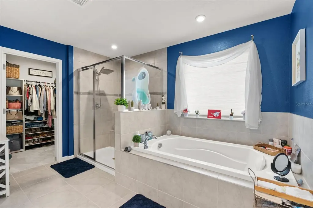10188 Agave Court Land O Lakes FL 34638