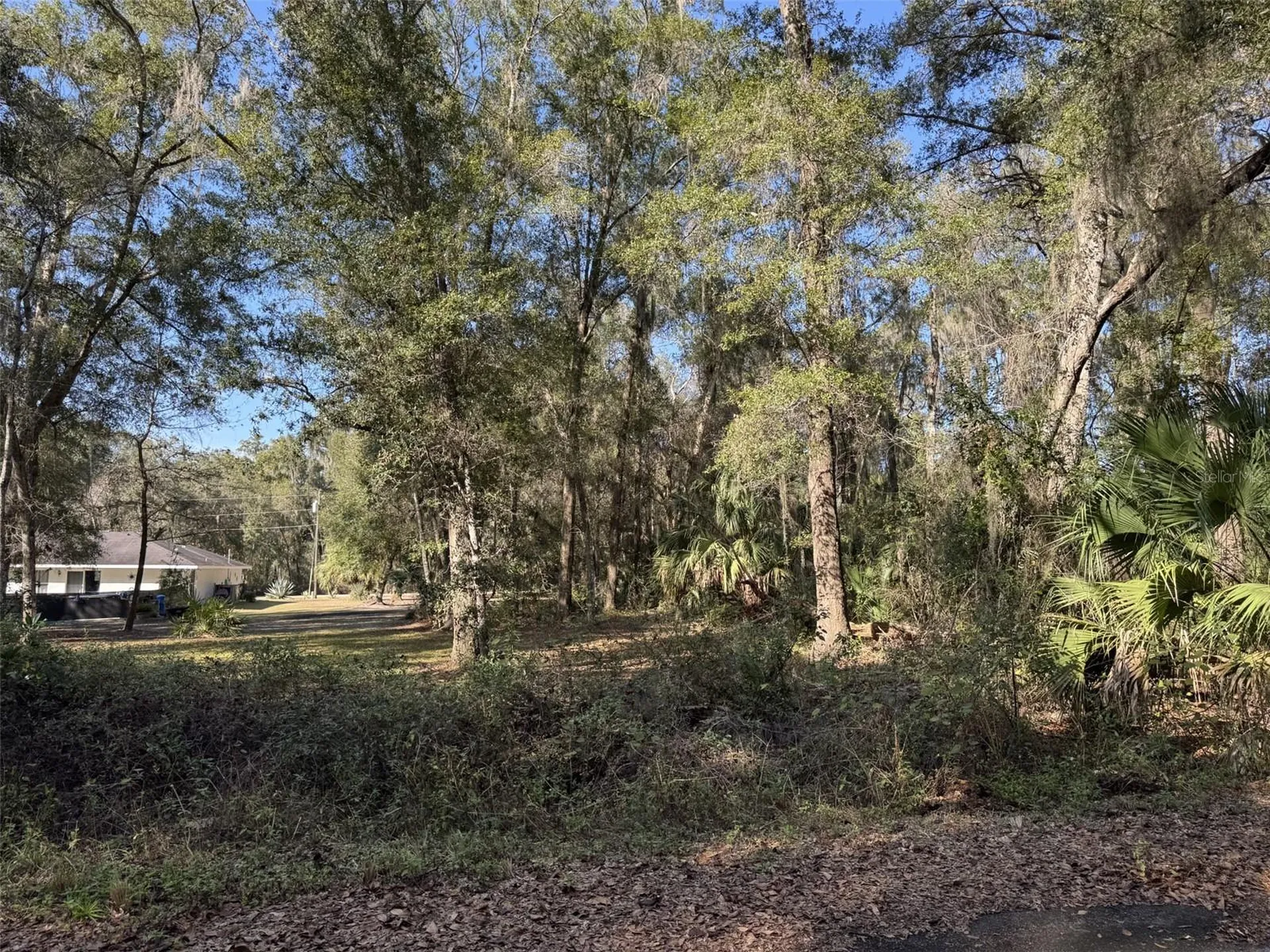 Sequoia Loop Track Ocklawaha FL 32179
