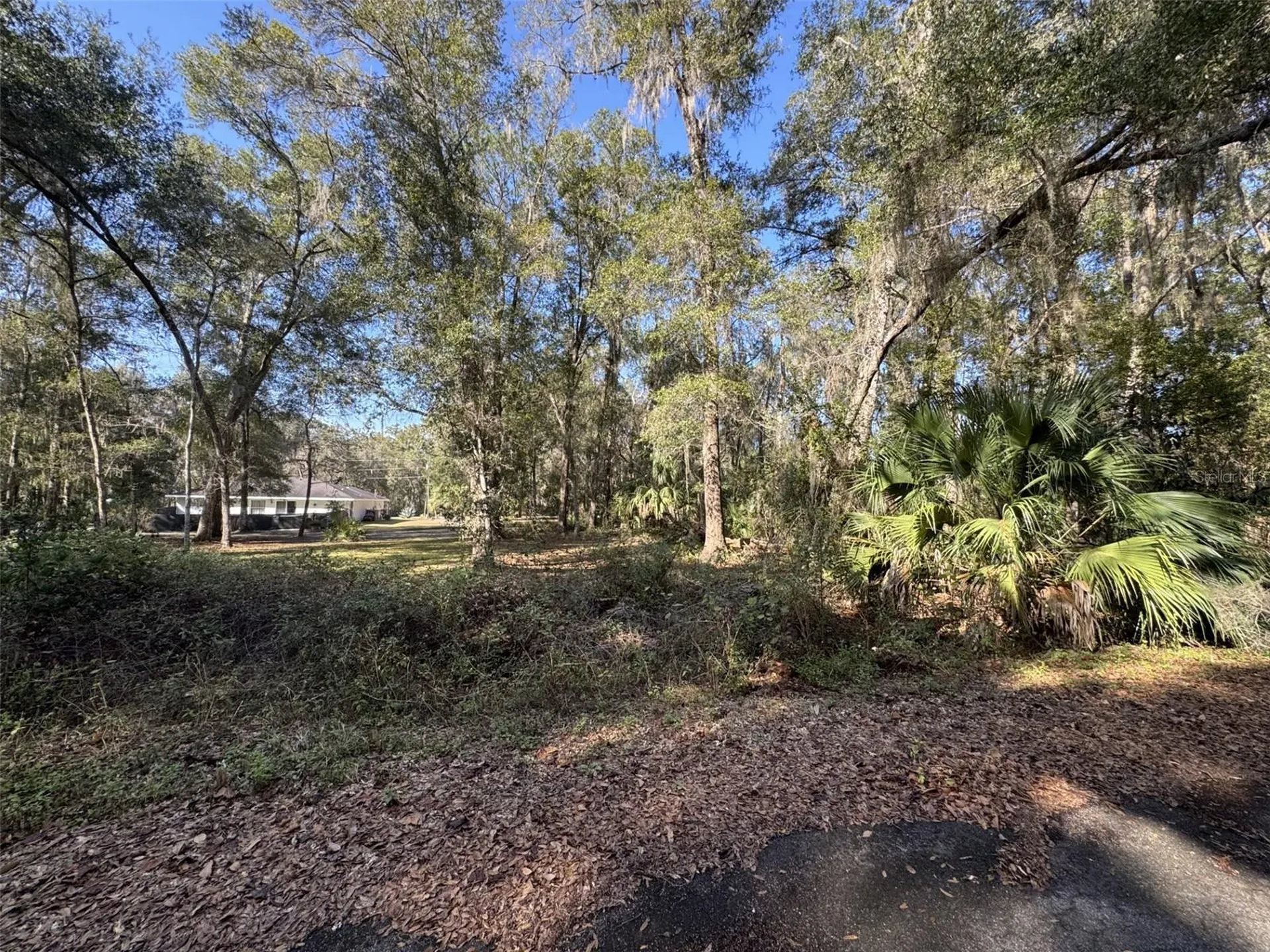 Sequoia Loop Track Ocklawaha FL 32179