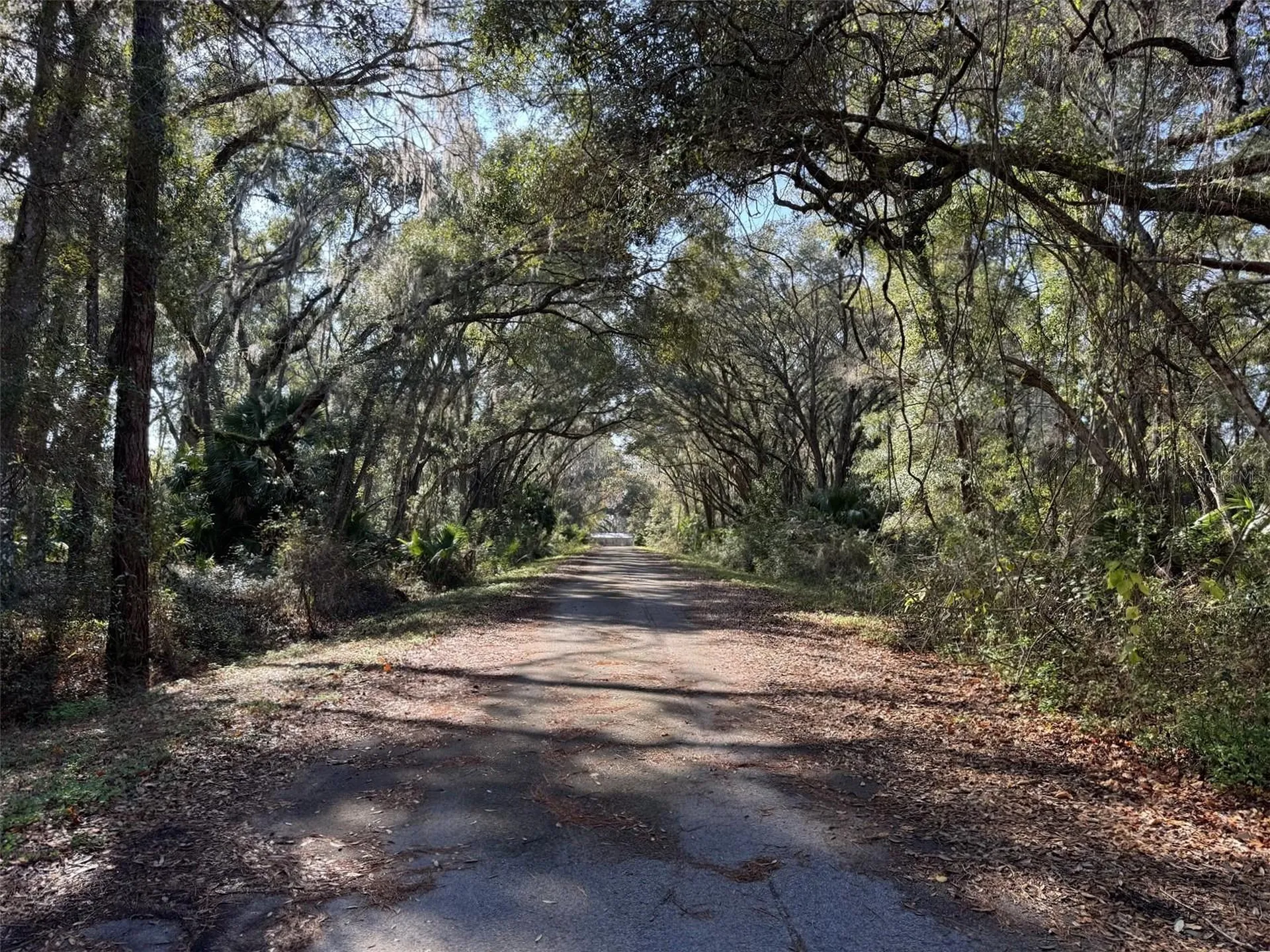 Sequoia Loop Track Ocklawaha FL 32179