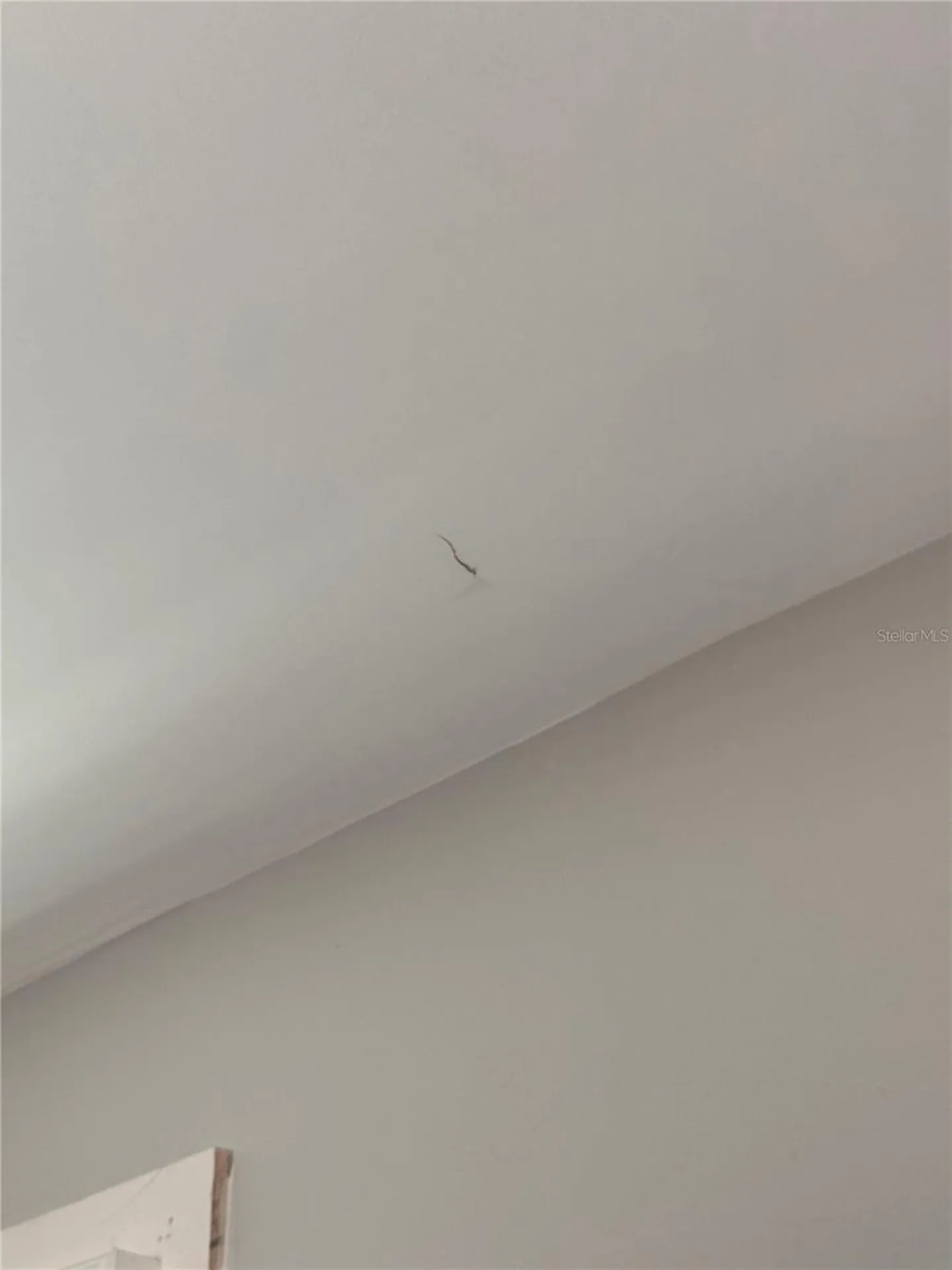 1323 NW 7th Place Cape Coral FL 33993