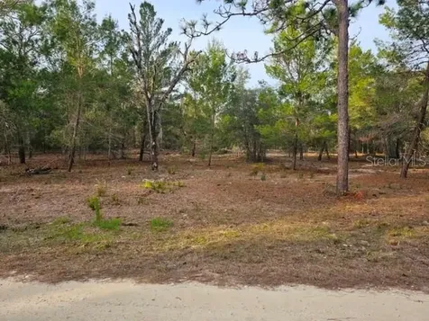 6341 W Stockholm Lane Dunnellon FL 34433