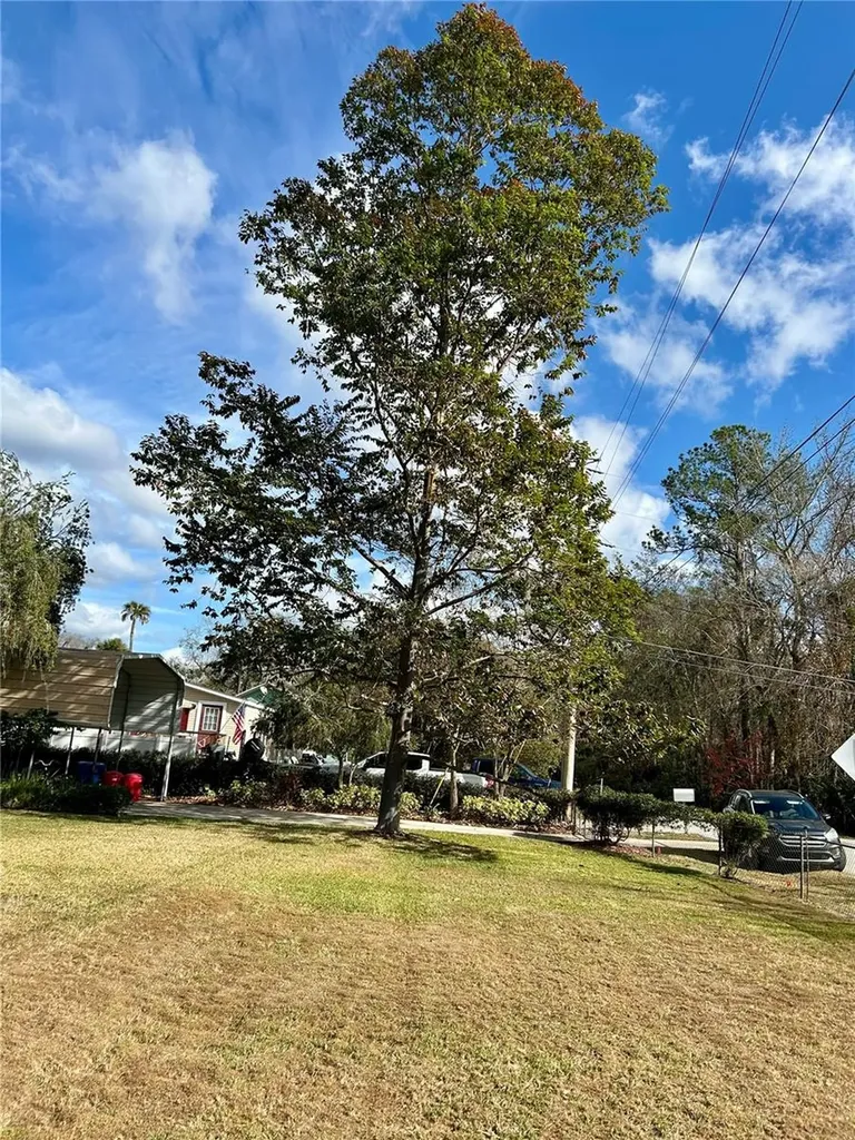 55730 Holiday Circle Astor FL 32102