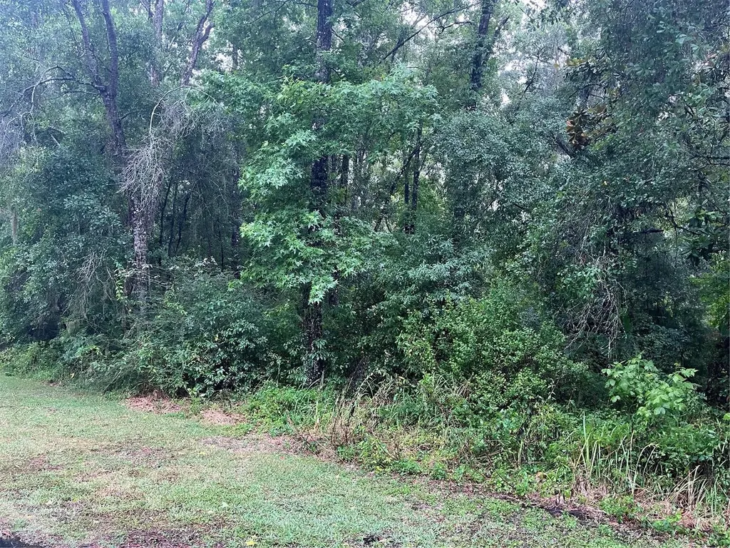 Sharon Street Brooksville FL 34601