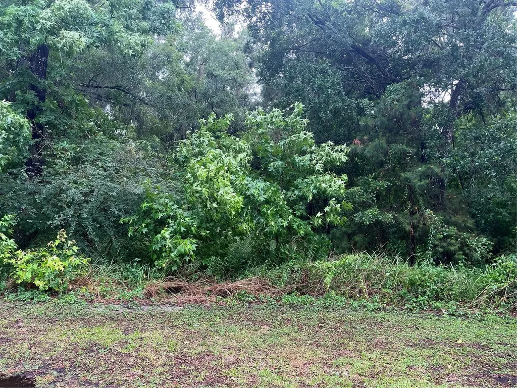Sharon Street Brooksville FL 34601