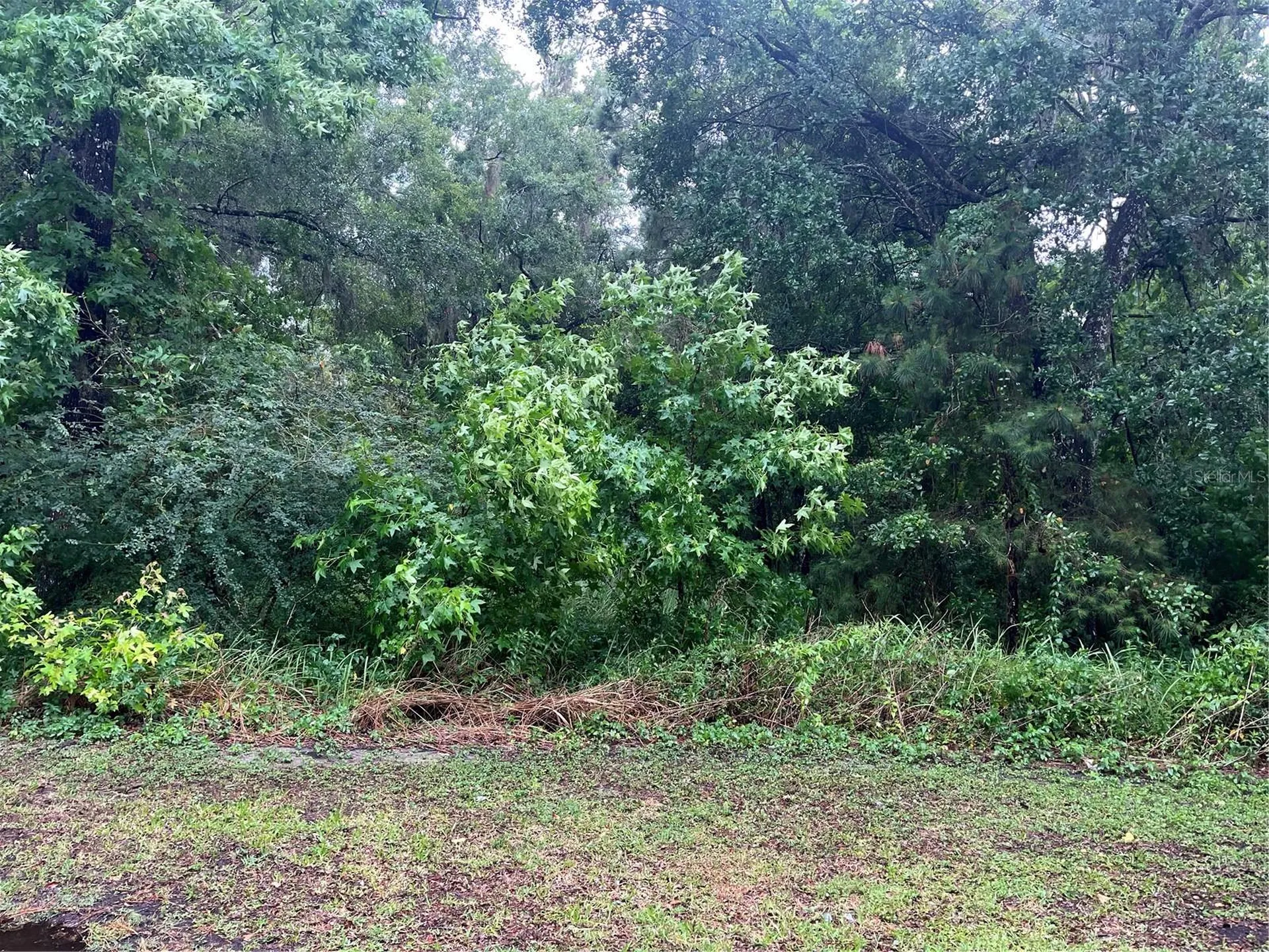 Sharon Street Brooksville FL 34601