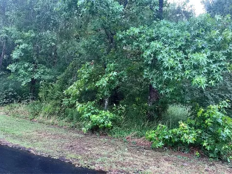 Sharon Street Brooksville FL 34601