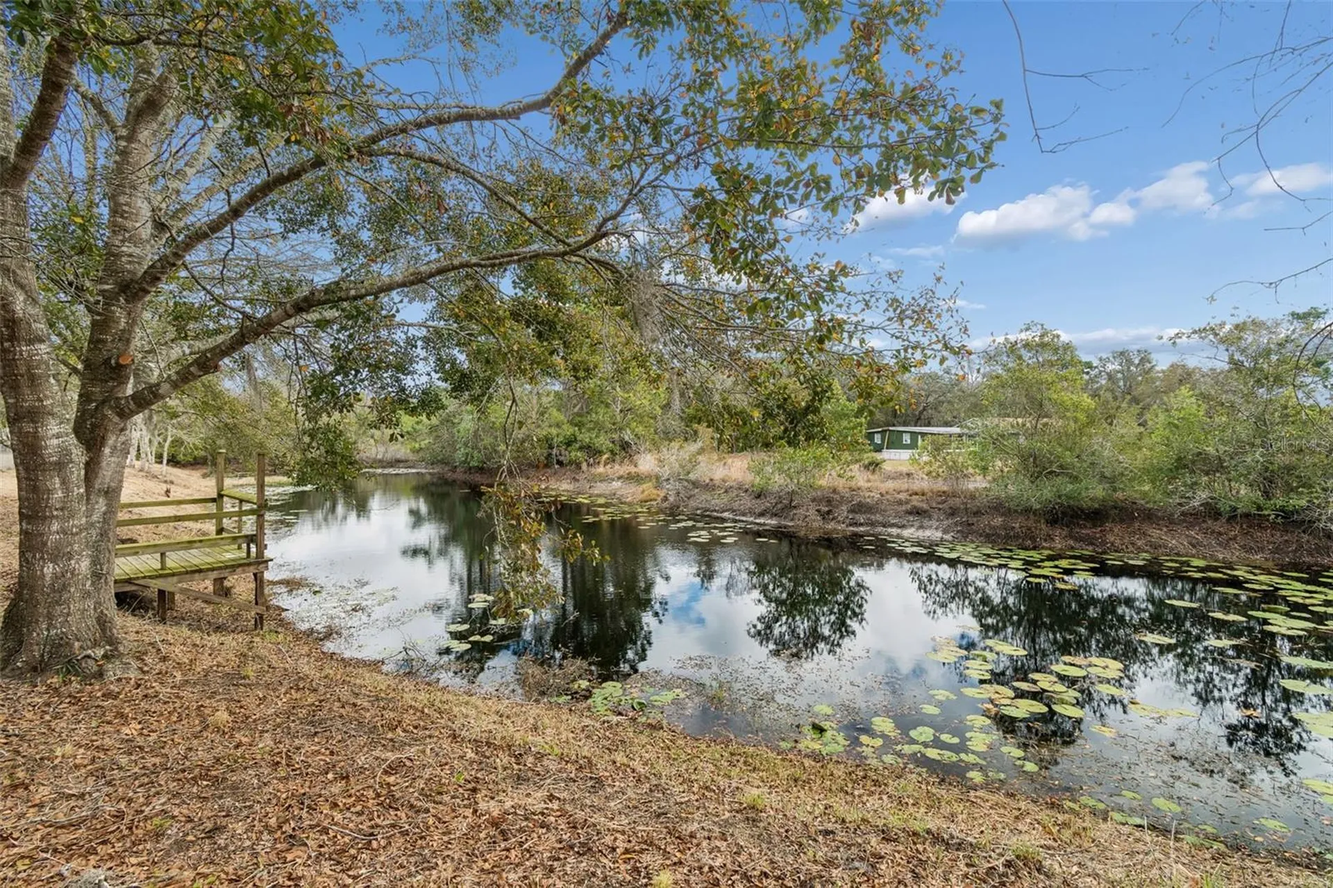 9732 Casey Drive New Port Richey FL 34654