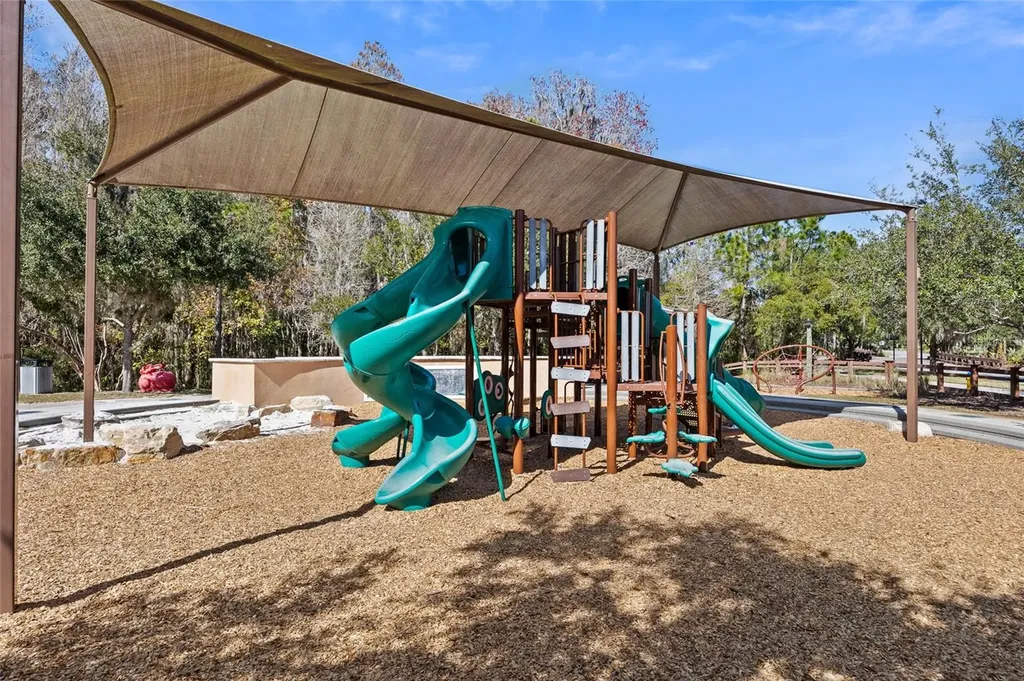 32756 Ansley Bloom Lane Wesley Chapel FL 33543