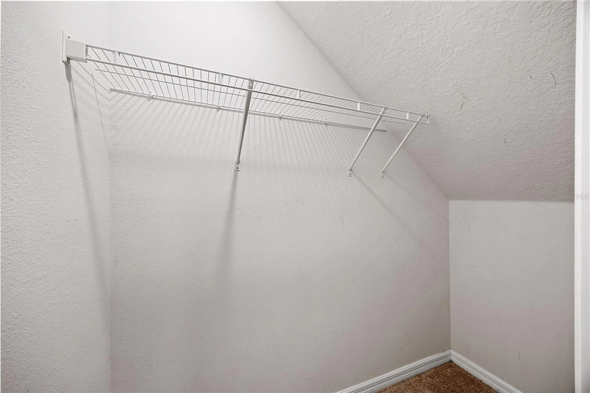 32756 Ansley Bloom Lane Wesley Chapel FL 33543
