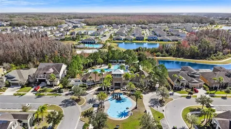 32756 Ansley Bloom Lane Wesley Chapel FL 33543