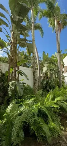 3801 Rio Mar Village Rio Grande PR 00745